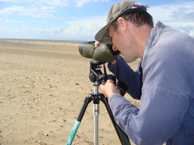 birding norfolk august 2008 022